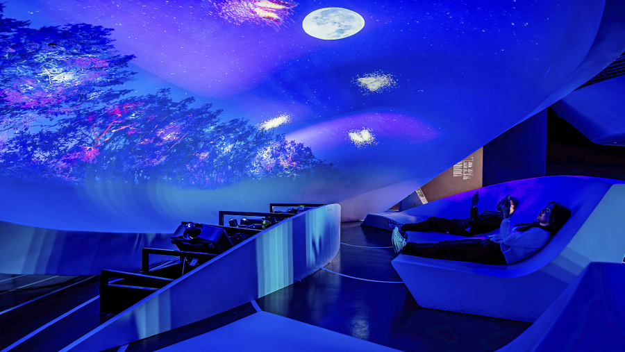 MuseumX - Multi-user Exhibition